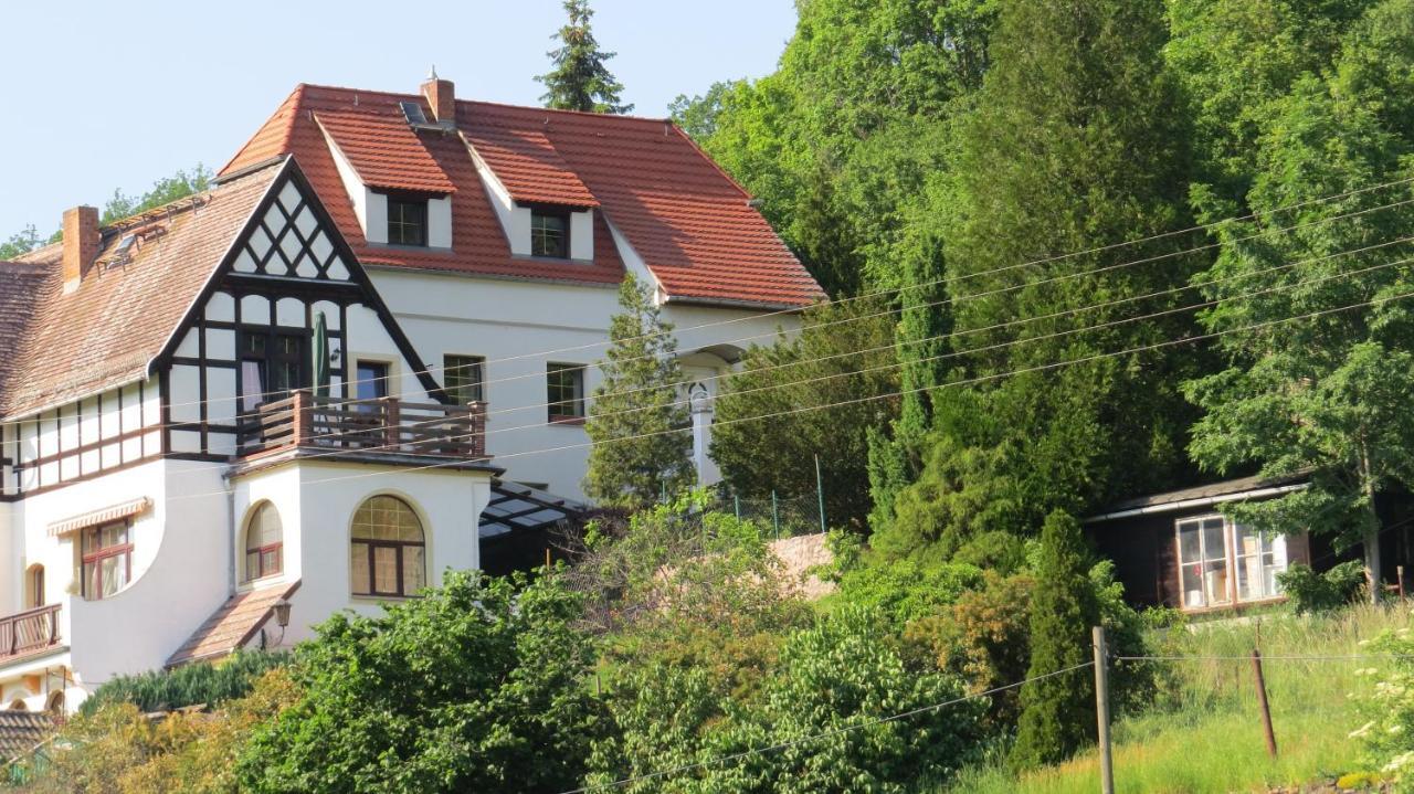 Ferienhaus Elbsommer Am Weinberg II Meißen Exteriér fotografie